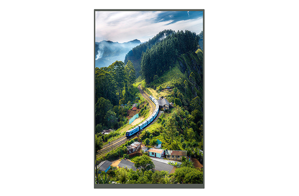 10.1 inch TFT screen - 800*1280