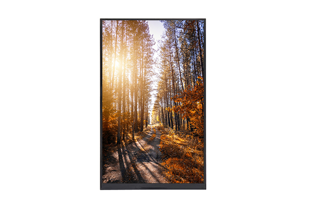 10 inch LCD screen 1200*1920